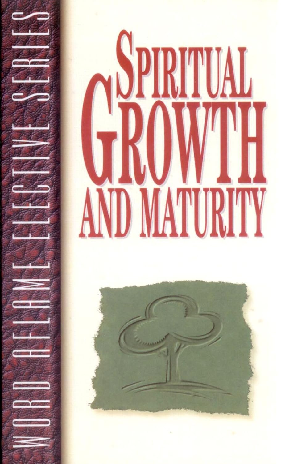Spiritual Growth and Maturity - AES