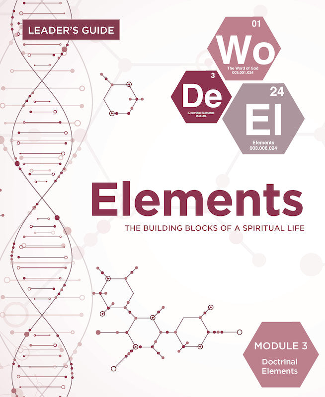 Elements Leader Guide - Module 3 - Pentecostal Publishing House