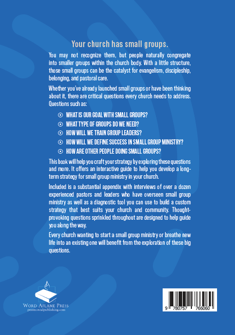 Big Questions about Small Groups: A Strategy Guide