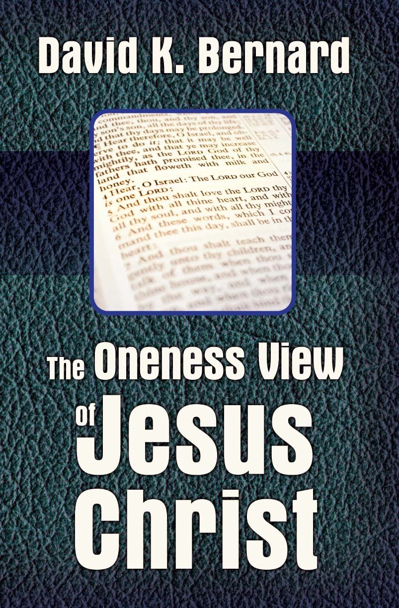 The Oneness View of Jesus Christ Braille (eBook)