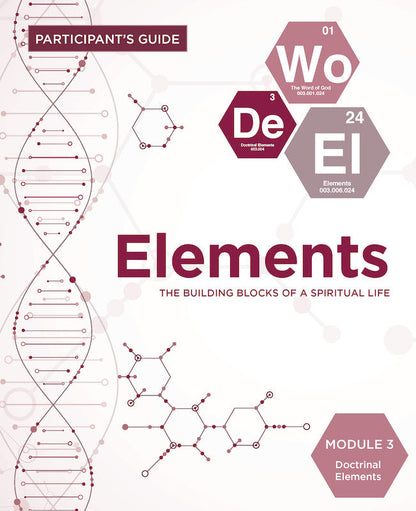 Elements Participant Guide - Module 3 - Pentecostal Publishing House