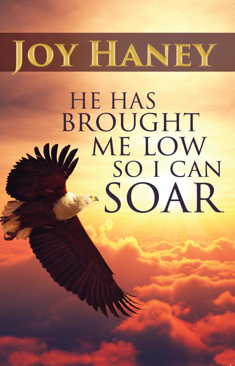 He Has brought Me Low so I Can Soar