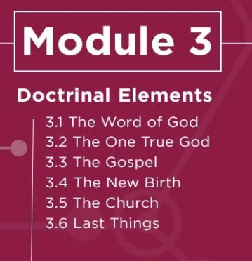 Elements Participant Guide - Module 3 - Pentecostal Publishing House